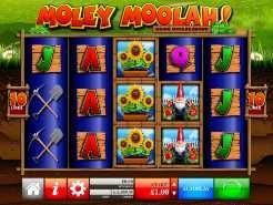 Moley Moolah